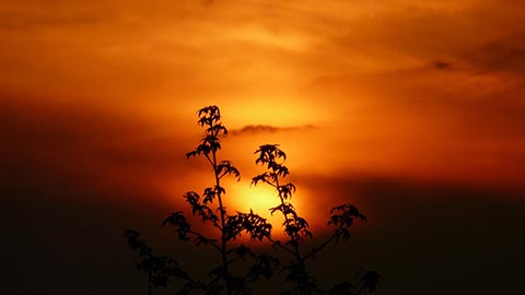 为您的企业在社交媒体上发布什么